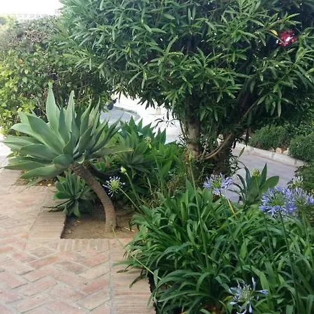 Pinar De Montemar Apartment