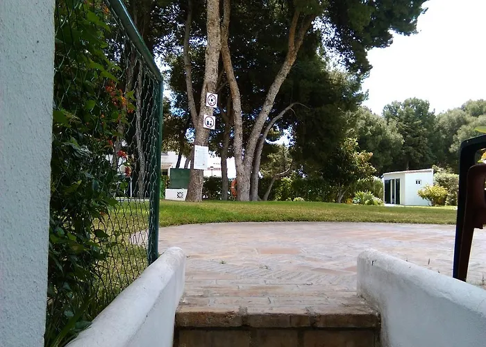 Pinar De Montemar *
